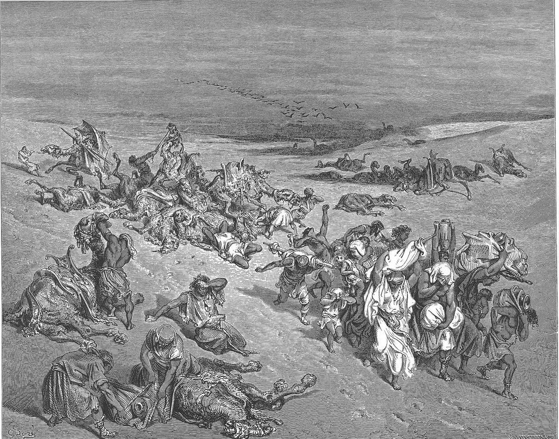 Gustave Doré, A quinta praga: a peste no gado