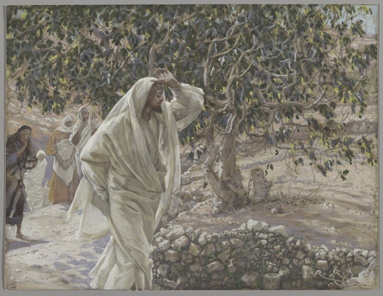 James Tissot, A figueira amaldiçoada