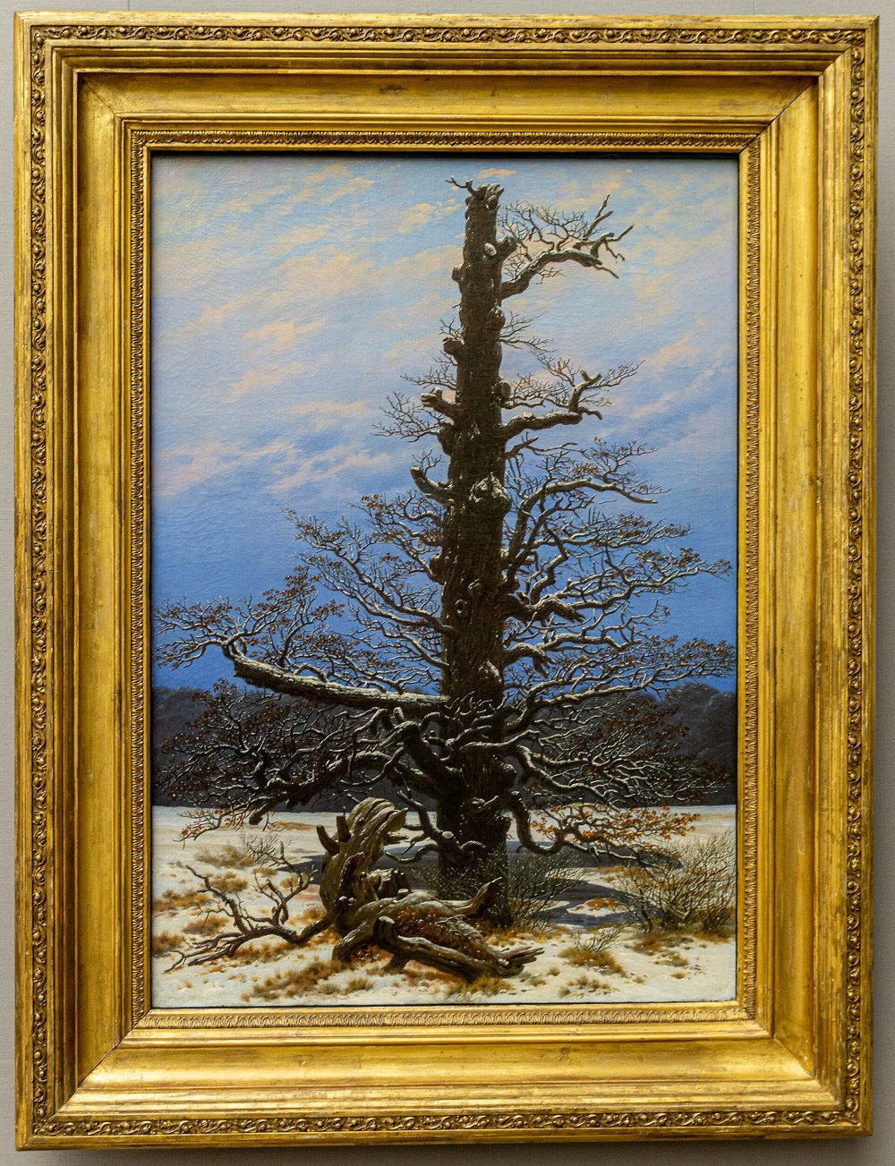 Pintura de um carvalho velho e robusto, de galhos retorcidos, em meio à neve