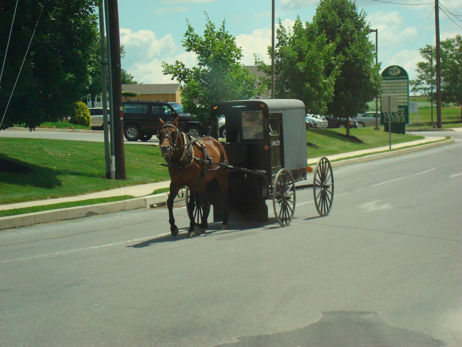 Carruagem amish preta puxada por um cavalo marrom, numa rua asfaltada de Intercourse, na Pensilvânia, ao lado de carros estacionados
